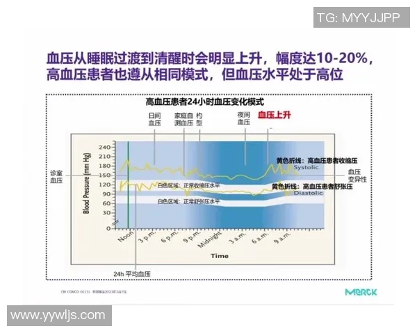 北京羽毛球队节奏表现分析与提升策略探讨 北京羽毛球队节奏表现分析与提升策略探讨