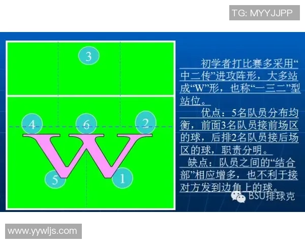 深圳排球队配合策略分析与战术提升探讨 深圳排球队配合策略分析与战术提升探讨