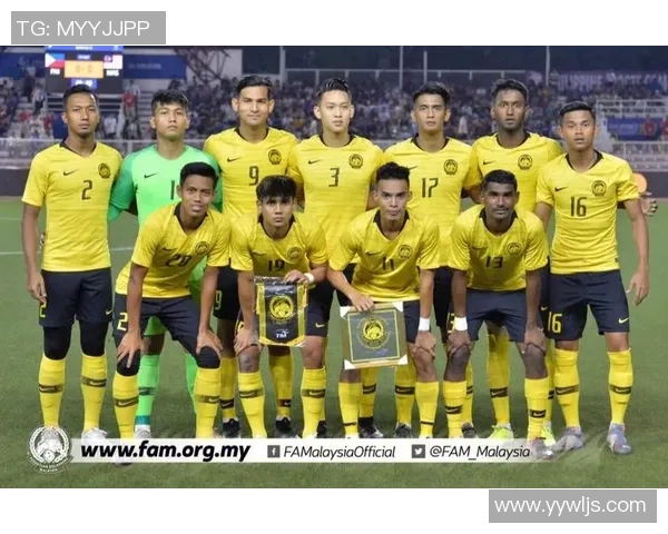 马来西亚足球明星身价揭秘及其对国内足球发展的影响分析 马来西亚足球明星身价揭秘及其对国内足球发展的影响分析